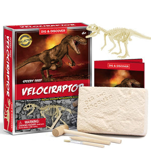Dinosaur Archaeology